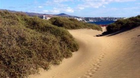 Fußspuren im Sand Spanien